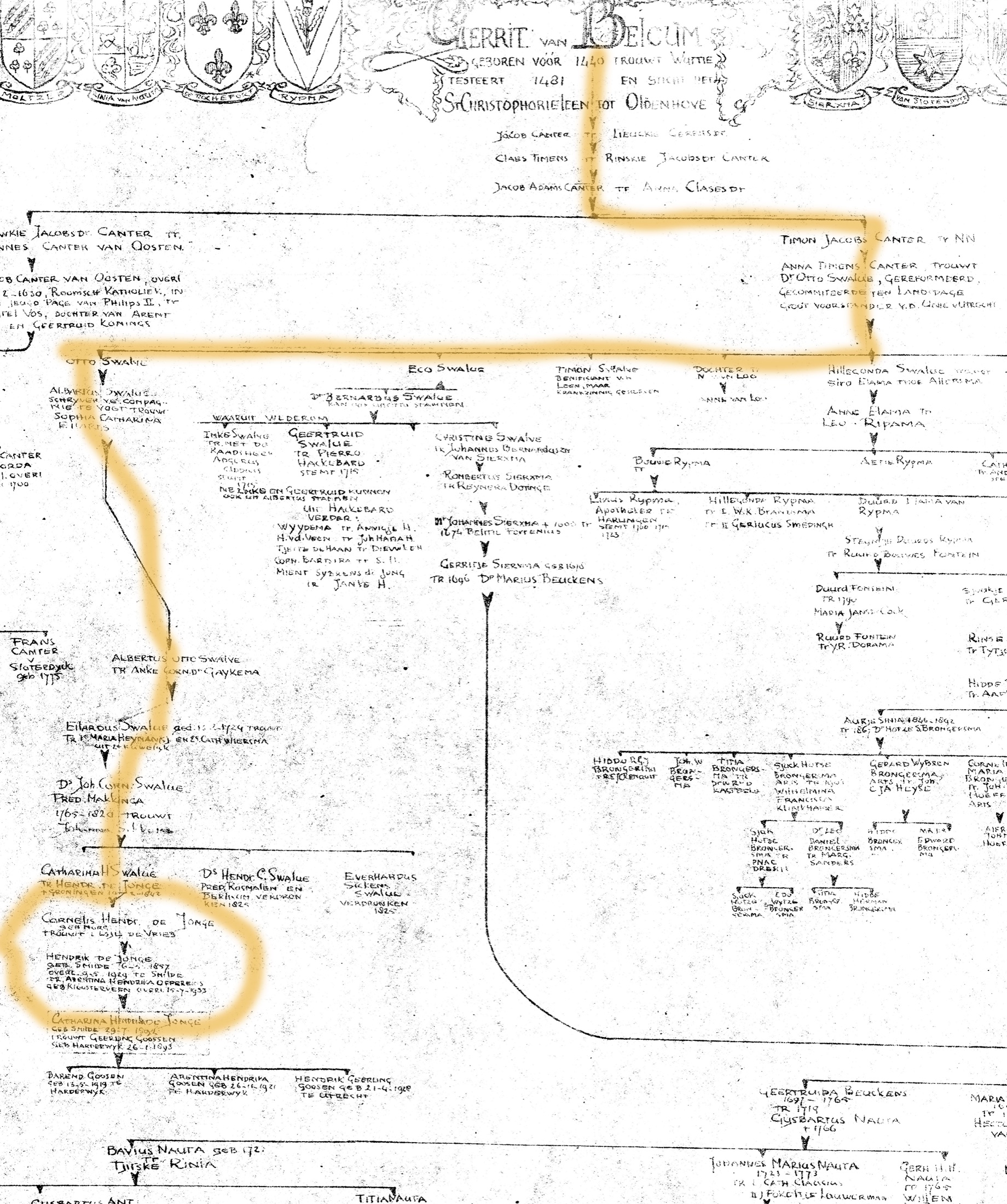 Historic family tree from Gerrijt van Belcum through the Swalue and De Jonge lines